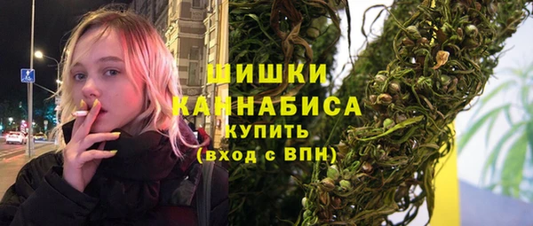 эйфоретик Арсеньев