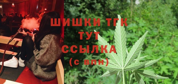 эйфоретик Арсеньев