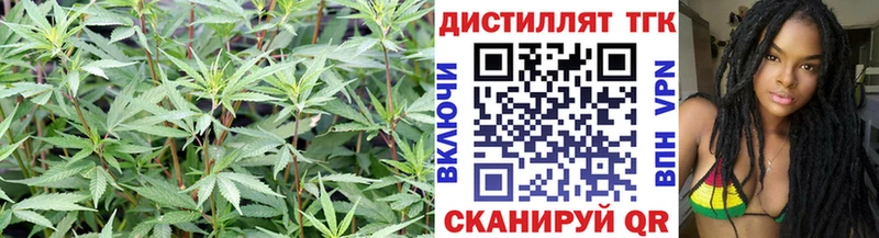 мега вход  Фокино  ТГК THC oil  наркотики 