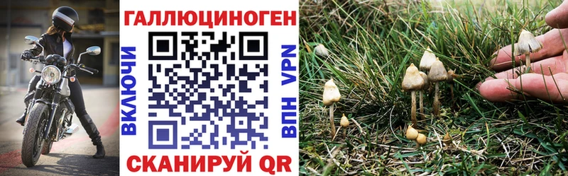 Галлюциногенные грибы мухоморы Фокино